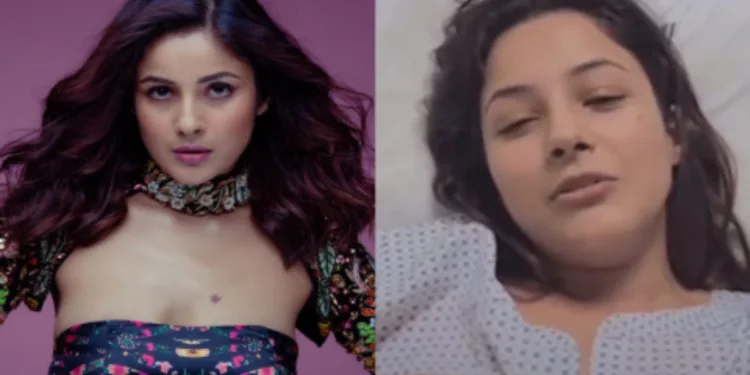 शहनाज़ गिल अस्पताल में हुई भर्ती, इंस्टाग्राम से मिला अपडेट